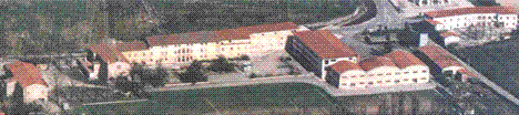 Baschirotto Institute for Rare Diseases